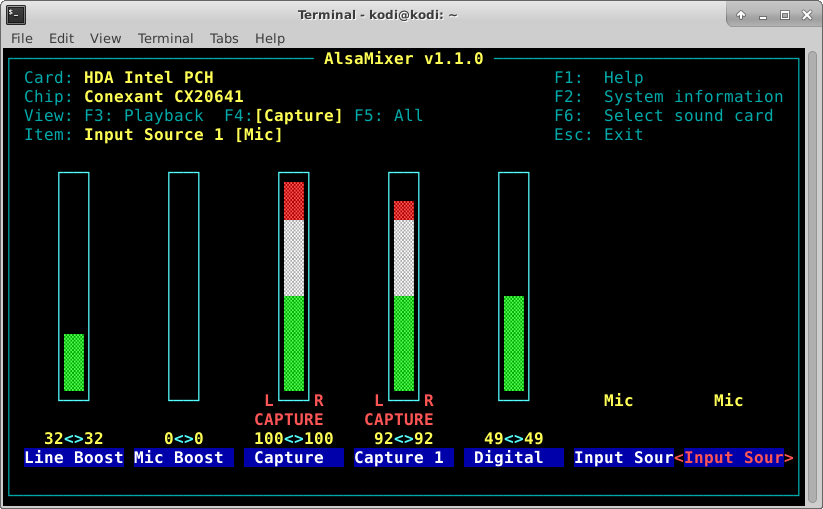 screenshot of alsa mixer on capture settings
screen